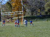 Click to see PA280171.JPG